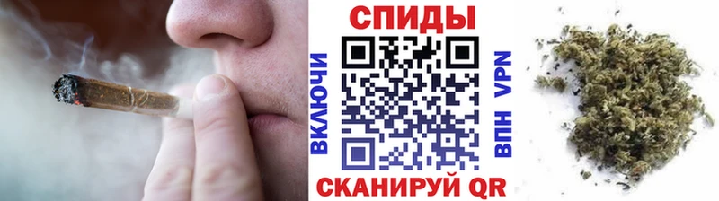 MEGA как войти Находка Бутират буратино