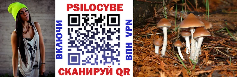 shop формула блэк спрут tor Находка Галлюциногенные грибы Cubensis