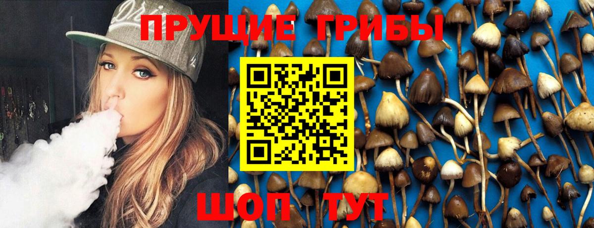 Находка  Псилоцибиновые грибы мицелий  Вход с VPN 