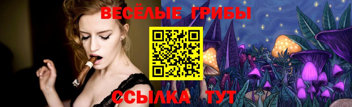 Псилоцибиновые грибы GOLDEN TEACHER Находка
